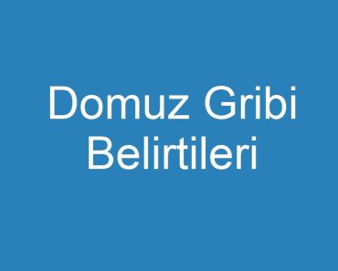 Domuz Gribi Belirtileri