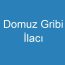 Domuz Gribi İlacı