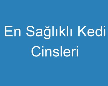 En Sağlıklı Kedi Cinsleri