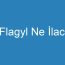 Flagyl Ne İlacı