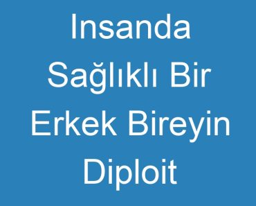 Insanda Sağlıklı Bir Erkek Bireyin Diploit Hücresinin Eşey Kromozom Durumu