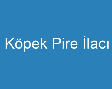 Köpek Pire İlacı