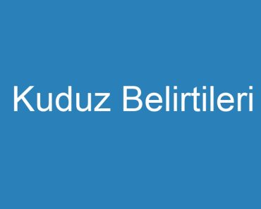 Kuduz Belirtileri