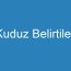 Kuduz Belirtileri