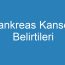 Pankreas Kanseri Belirtileri