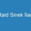 Raid Sinek İlacı