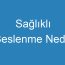 Sağlıklı Beslenme Nedir