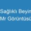 Sağlıklı Beyin Mr Görüntüsü