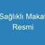 Sağlıklı Makat Resmi