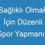 Sağlıklı Olmak İçin Düzenli Spor Yapmanın Önemi