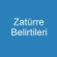 Zatürre Belirtileri