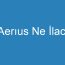 Aerıus Ne İlacı