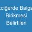 Akciğerde Balgam Birikmesi Belirtileri