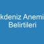 Akdeniz Anemisi Belirtileri