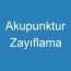 Akupunktur Zayıflama