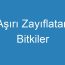 Aşırı Zayıflatan Bitkiler