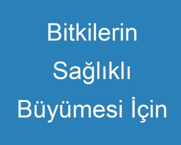 Bitkilerin Sağlıklı Büyümesi İçin İhtiyaçları Vardır