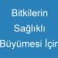 Bitkilerin Sağlıklı Büyümesi İçin İhtiyaçları Vardır