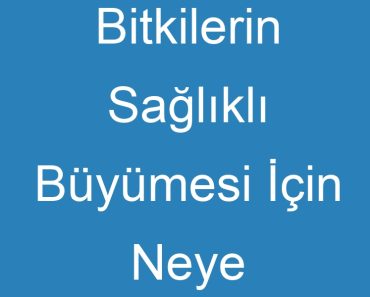 Bitkilerin Sağlıklı Büyümesi İçin Neye İhtiyaçları Vardır