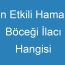 En Etkili Hamam Böceği İlacı Hangisi