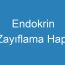 Endokrin Zayıflama Hapı