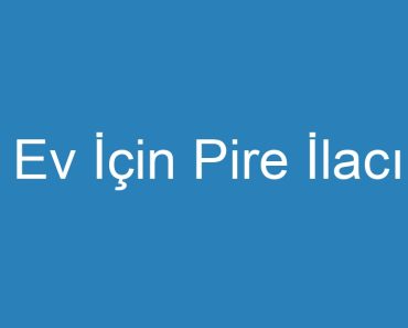 Ev İçin Pire İlacı