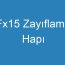 Fx15 Zayıflama Hapı