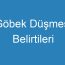 Göbek Düşmesi Belirtileri