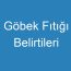 Göbek Fıtığı Belirtileri