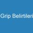 Grip Belirtileri