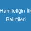 Hamileliğin İlk Belirtileri