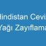 Hindistan Cevizi Yağı Zayıflama