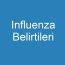 Influenza Belirtileri