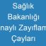 Sağlık Bakanlığı Onaylı Zayıflama Çayları