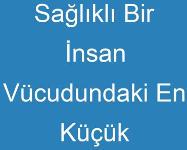 Sağlıklı Bir İnsan Vücudundaki En Küçük Kas Nerede Bulunur