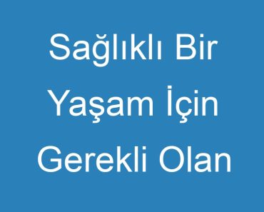 Sağlıklı Bir Yaşam İçin Gerekli Olan Besinleri Belirli Ölçülerde Alma