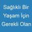 Sağlıklı Bir Yaşam İçin Gerekli Olan Besinleri Belirli Ölçülerde Alma