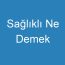 Sağlıklı Ne Demek