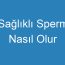 Sağlıklı Sperm Nasıl Olur