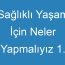 Sağlıklı Yaşam İçin Neler Yapmalıyız 1. Sınıf Ödev