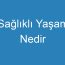 Sağlıklı Yaşam Nedir