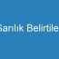 Sarılık Belirtileri