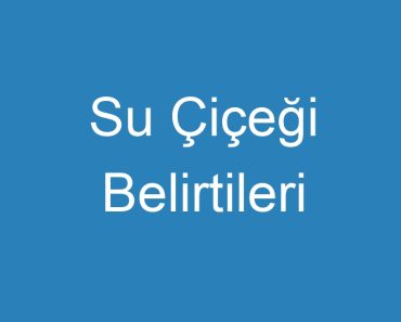 Su Çiçeği Belirtileri