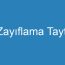 Zayıflama Taytı