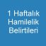 1 Haftalık Hamilelik Belirtileri