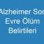 Alzheimer Son Evre Ölüm Belirtileri