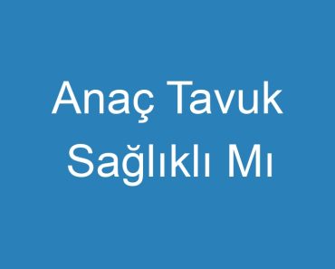 Anaç Tavuk Sağlıklı Mı