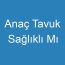 Anaç Tavuk Sağlıklı Mı