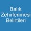 Balık Zehirlenmesi Belirtileri