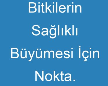 Bitkilerin Sağlıklı Büyümesi İçin Nokta. İhtiyaçları Vardır